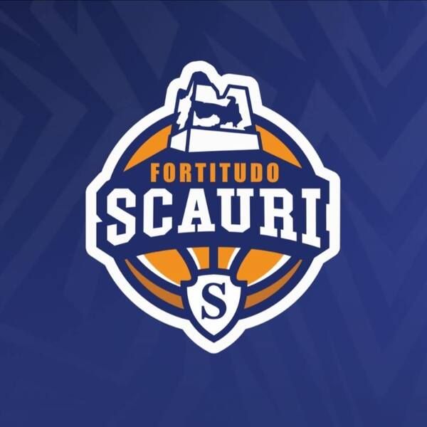 Scauri a valanga