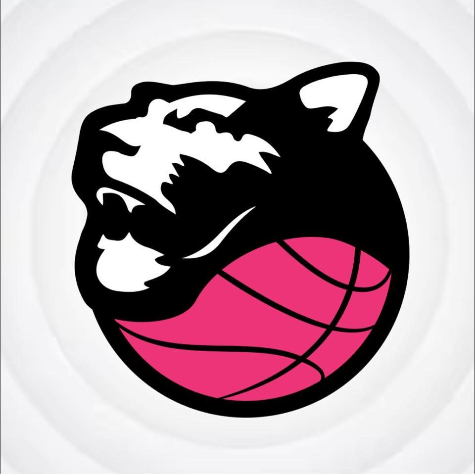 Rimonta Panthers Roseto: Atletico San Lorenzo retrocessa in Serie C